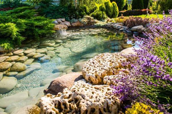 The Ultimate Guide to Designing a Beautiful and Relaxing Water Garden