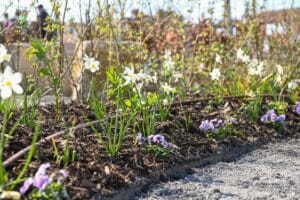 The Mind Garden officially opened at Barrow in Furness