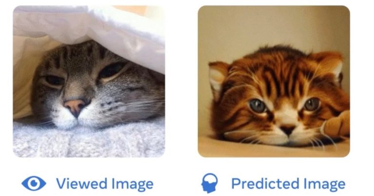 Meta’s AI System Can Replicate Images in Your Brain in Milliseconds