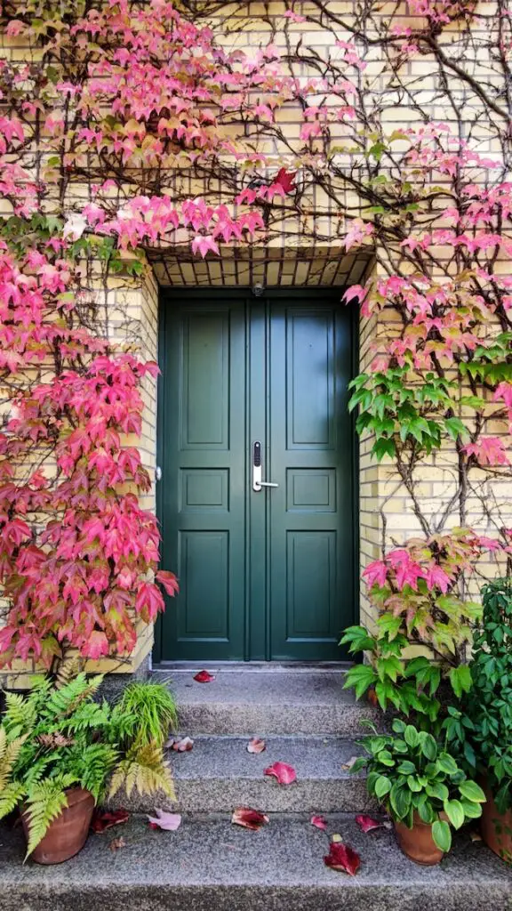 A Complete Guide to Purchasing UPVC Doors