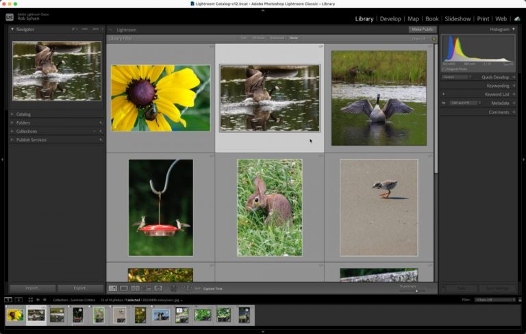 Key Things Everyone Using Lightroom Classic Should Know: Part 1