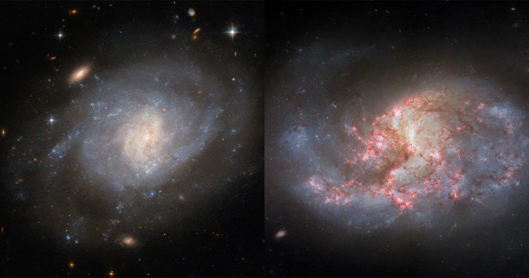 Hubble Looks at a Galaxy’s Bombastic Origins and Shows the Power of Filters