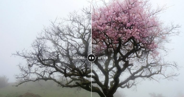 Luminar Neo’s GenSwap Tool Brings Generative AI to the Photo Editing App