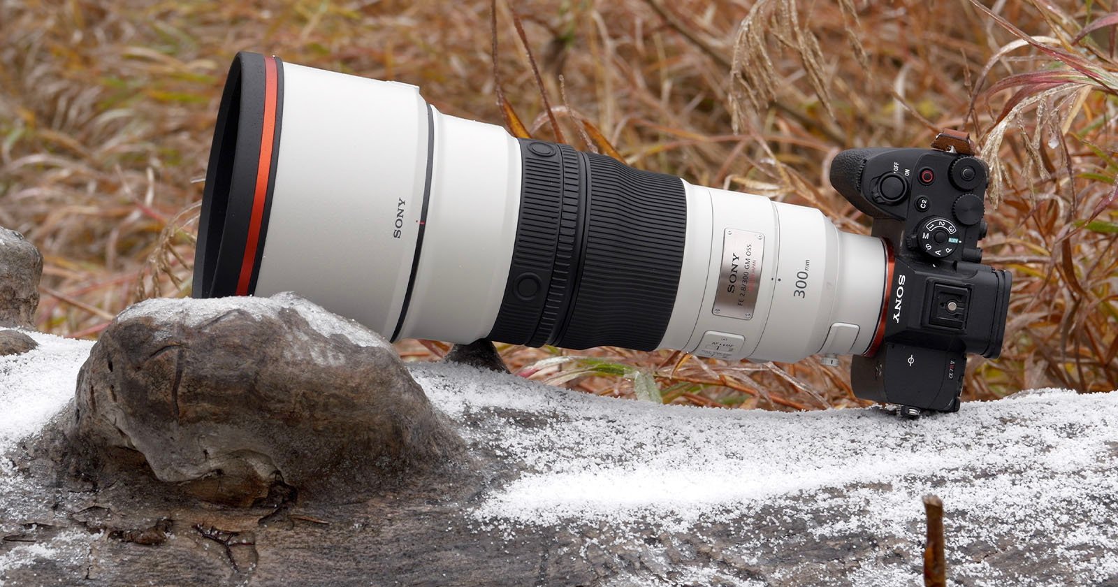 Sony’s New 300mm f/2.8 GM OSS is the World’s Lightest Large Aperture Telephoto Prime