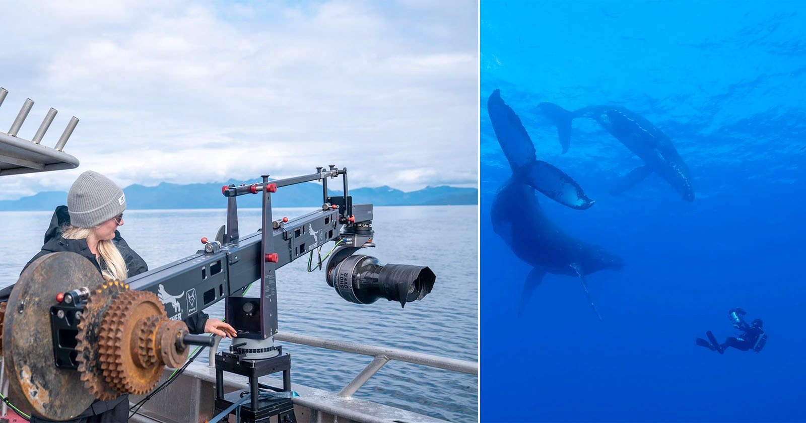 The Making of Nat Geo’s Visual Spectacle ‘Incredible Animal Journeys’