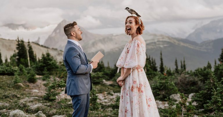 Bird Landing on Bride’s Head During Vows Wins International Photo Award