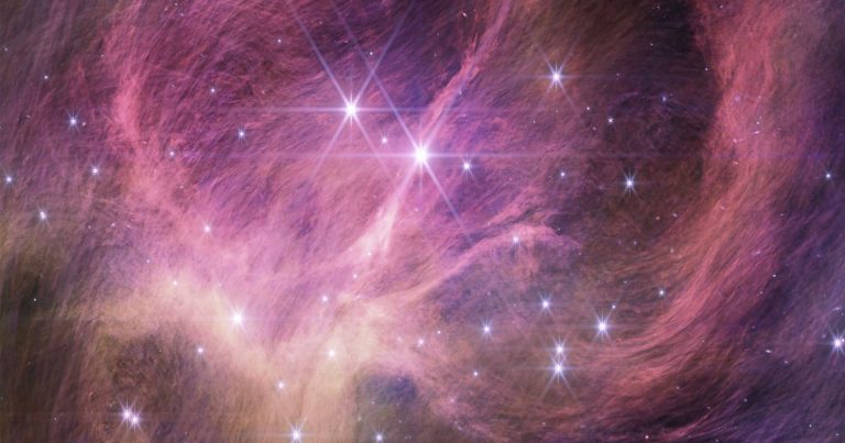Webb Identifies a Tiny Brown Dwarf That Defies Explanation