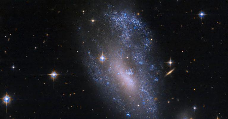 A Galactic Interaction Smushed This Spiral Galaxy