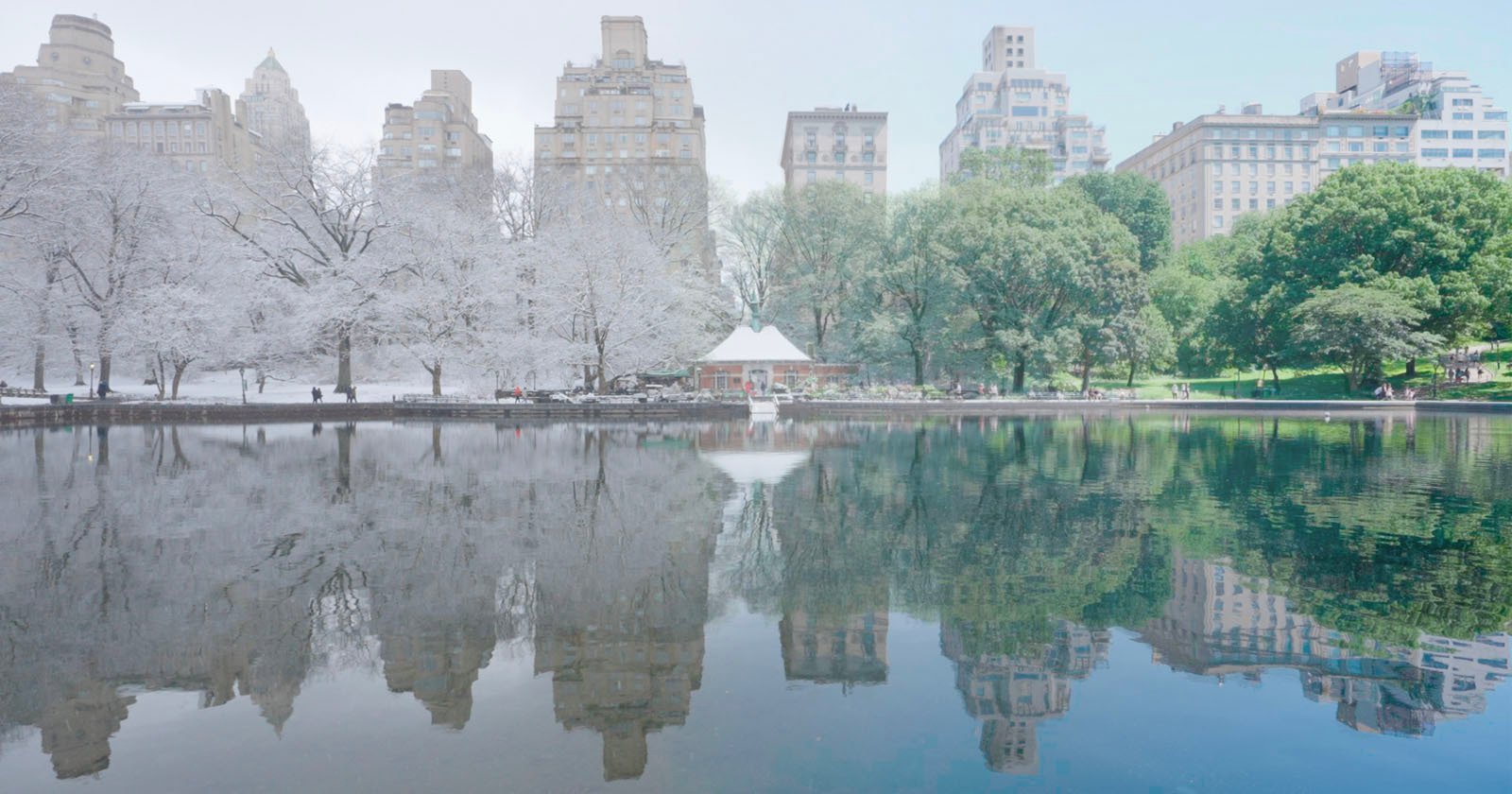 Photographer’s Patience Pays Off in Stunning Seasonal Video of New York