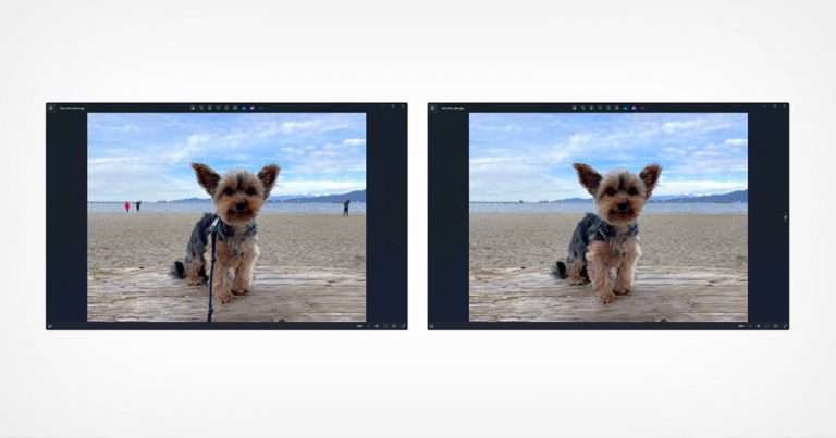 Windows Photos Now Has Generative Erase and More AI Tools