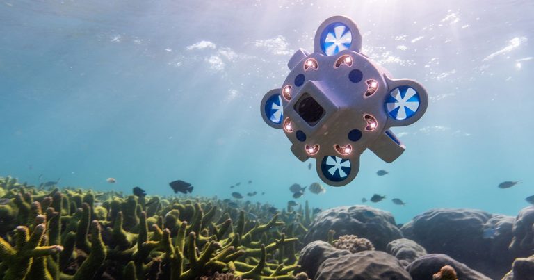 The Hydrus Underwater Drone Wants to Be the DJI of the Sea