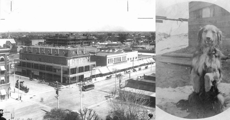 Thousands of Photos Showing Arizona Before it Became a US State are Now Publicly Available