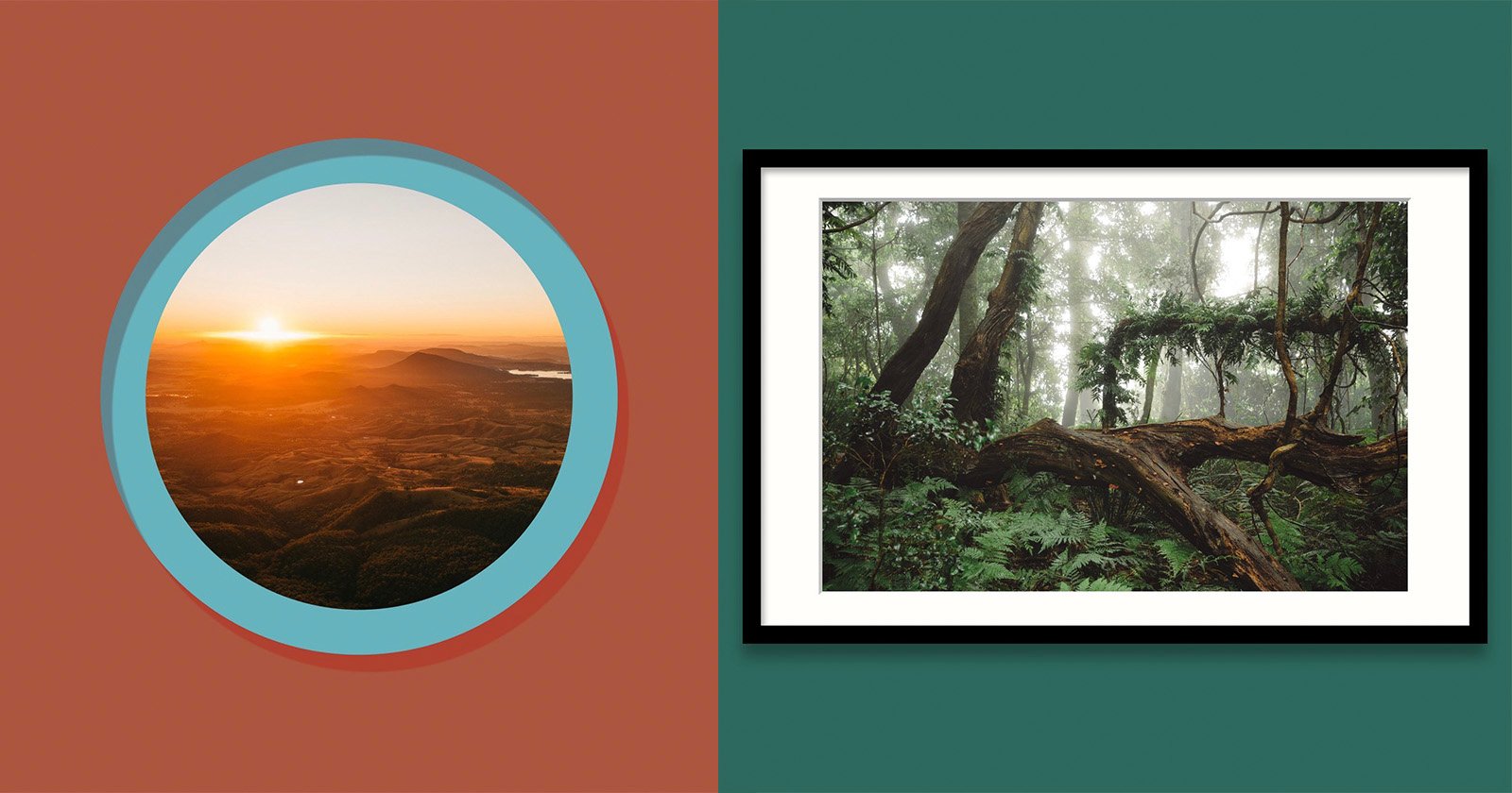 Like A Frame App Update Offers New Ways to Share Photos