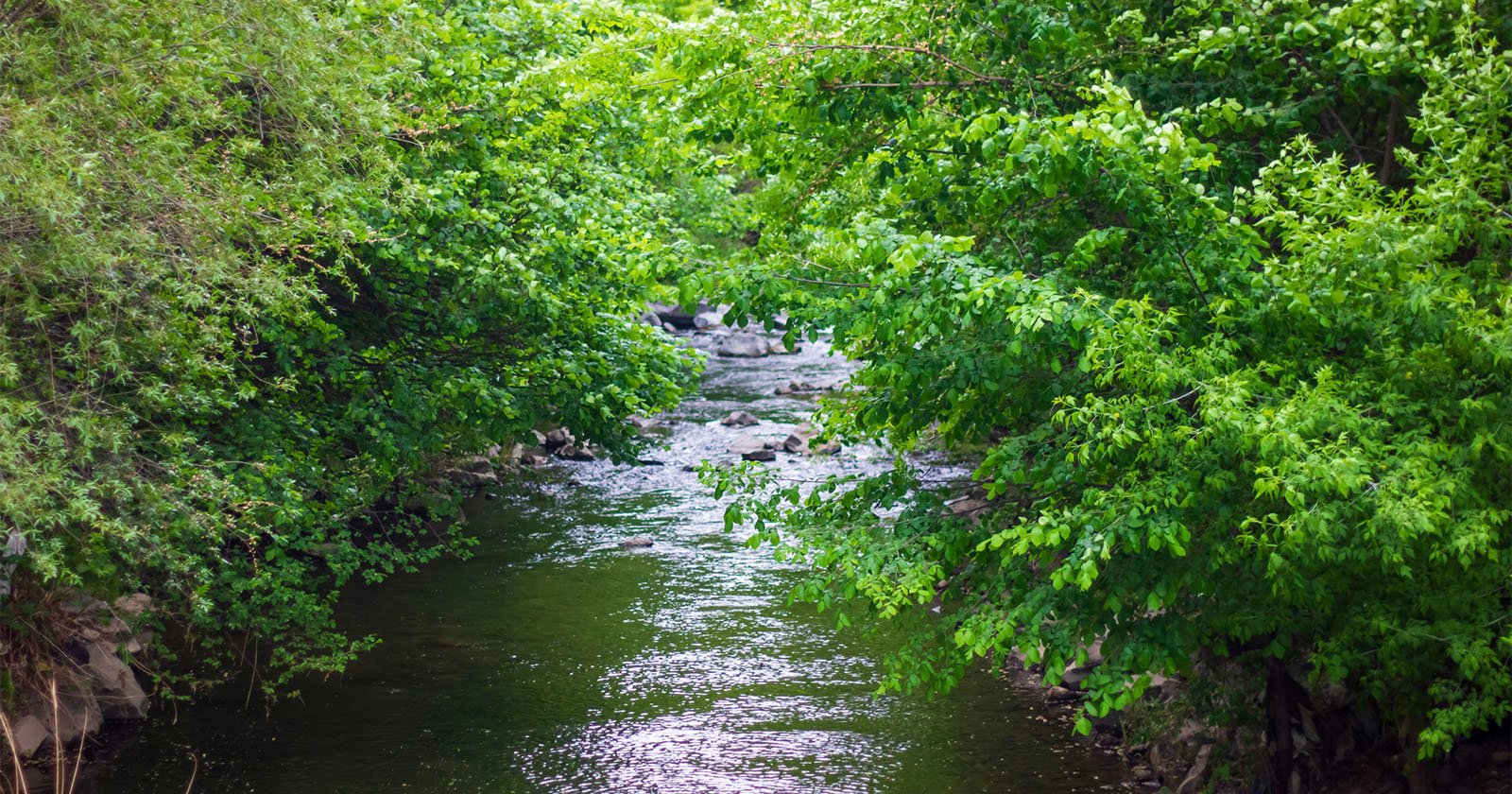 Photographer Loses $11K Worth of Gear and Almost His Life After Falling Into River