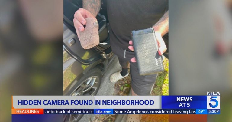 Family Discover Hidden Camera Disguised as a Rock Outside Their Home