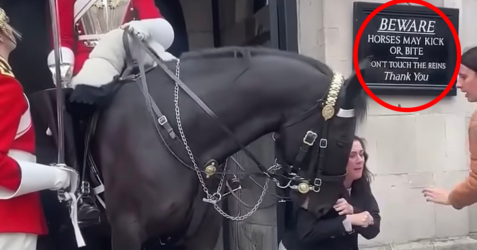 Woman is Bitten by King’s Guard Horse in London While Posing for Photo