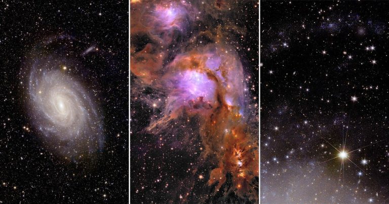 Euclid’s First Science Photos Show 16 Million Cosmic Objects in Dazzling New Light