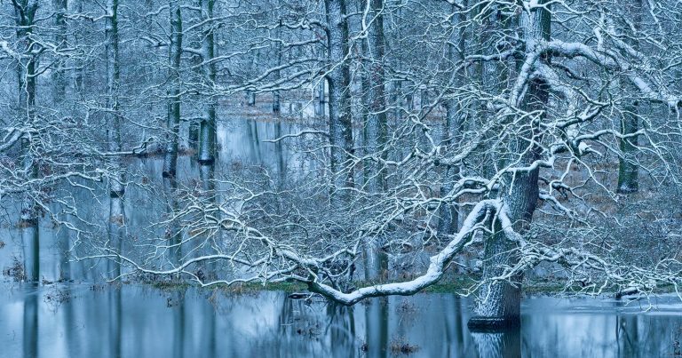 The Wonderful GDT Nature Photographer of the Year Winners