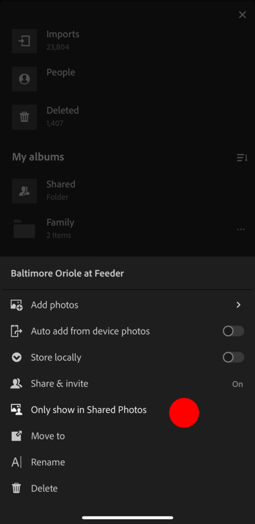 Only Show in Shared Photos