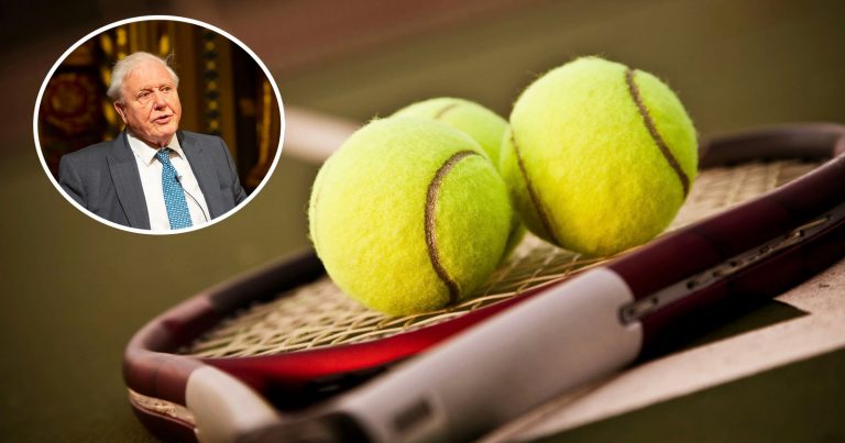 How David Attenborough and Color Cameras Turned Tennis Balls Yellow