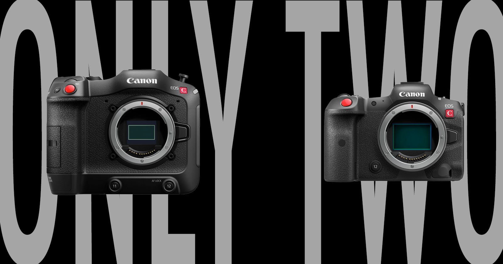 Canon’s Lack of RF-Mount Cinema EOS Support is Genuinely Shocking