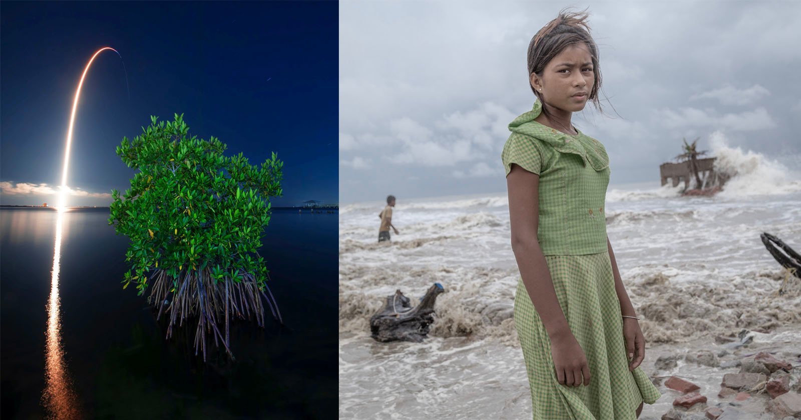 Mangrove Photo Competition Shines a Light on Threatened Water Worlds