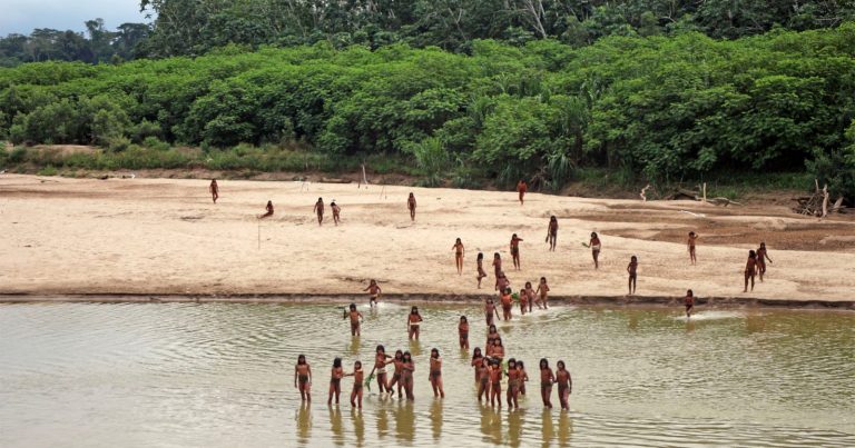 Photos of Uncontacted Tribe Raises Concern Over Logging Practices