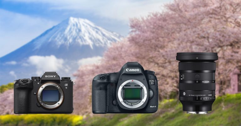 Sony Leads Mirrorless Camera Sales While Canon Dominates DSLRs