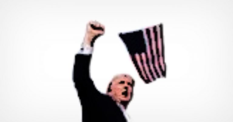 X May Have Infringed Photo Copyright With Donald Trump MAGA Hashmoji