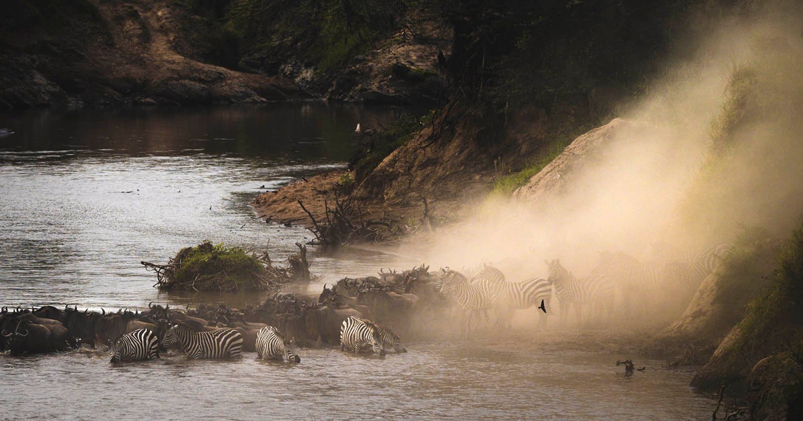 Collateral Damage: On Namibia’s Plans to Kill Wildlife for Drought Relief