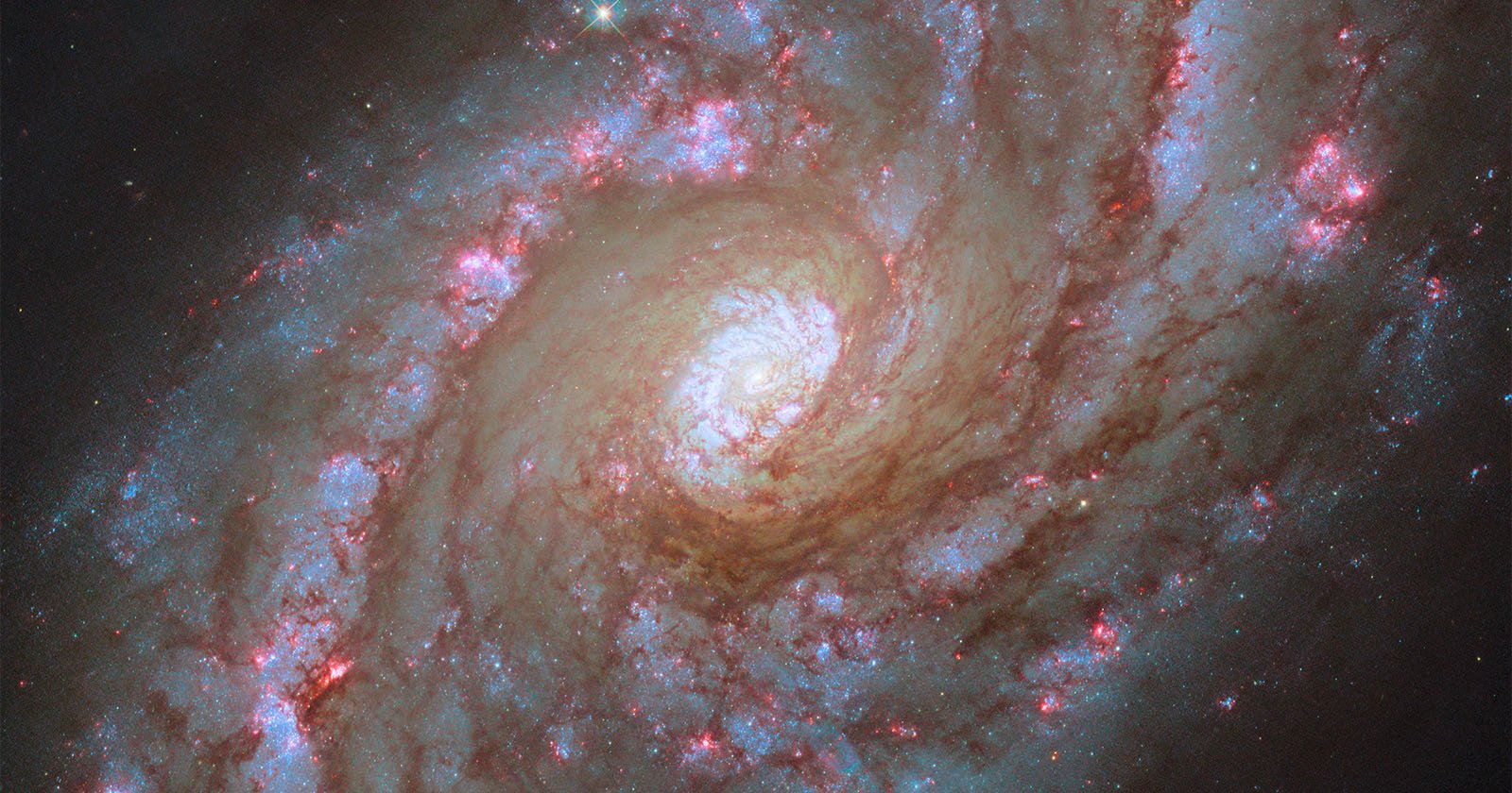 Hubble Captures Vibrant Spiral Starbursts 42 Million Light-Years Away