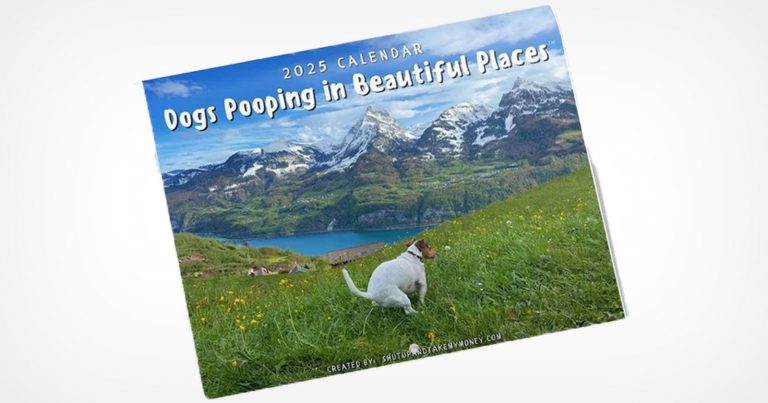 This Calendar Features Photos of ‘Dogs Pooping in Beautiful Places’