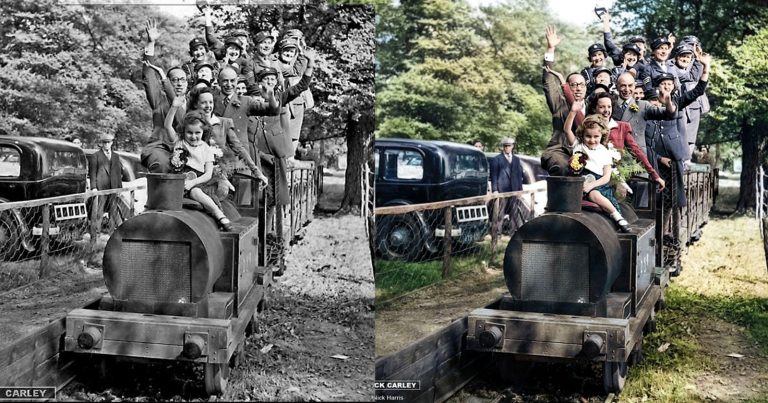 Bringing a Forgotten Zoo Back to Life by Colorizing Old Photos