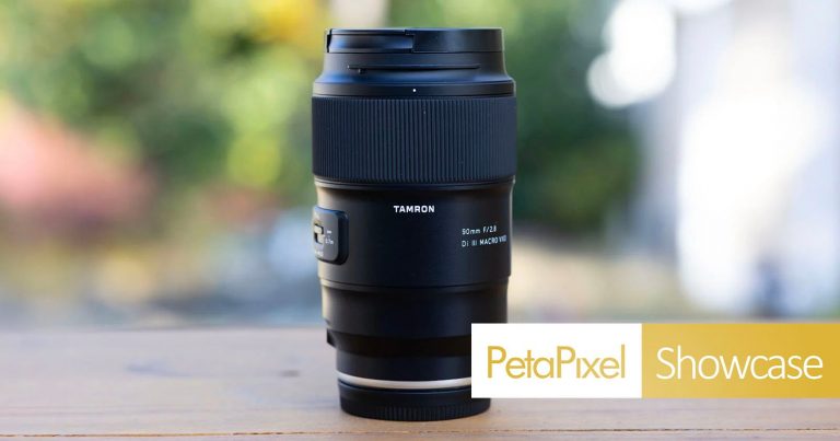 The Tamron 90mm f/2.8 Di III Macro VXD Punches Way Above Its Weight