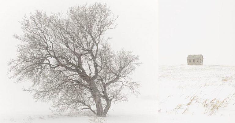 Photographer Captures Frozen Prairie Lands in Minus 30 Degrees