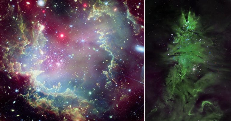 NASA Embraces Holiday Spirit With Images of Stellar Wreath and Cosmic Christmas Tree