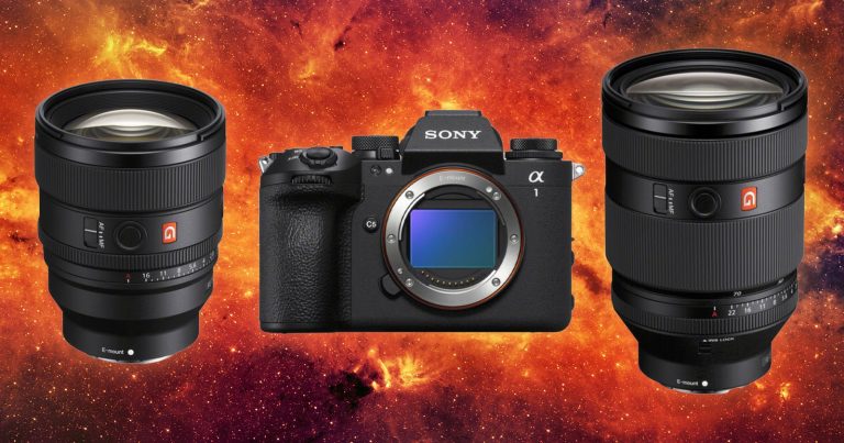 Sony in 2024: Sony Charts a Consistent and Effective Course as the Mirrorless Leader