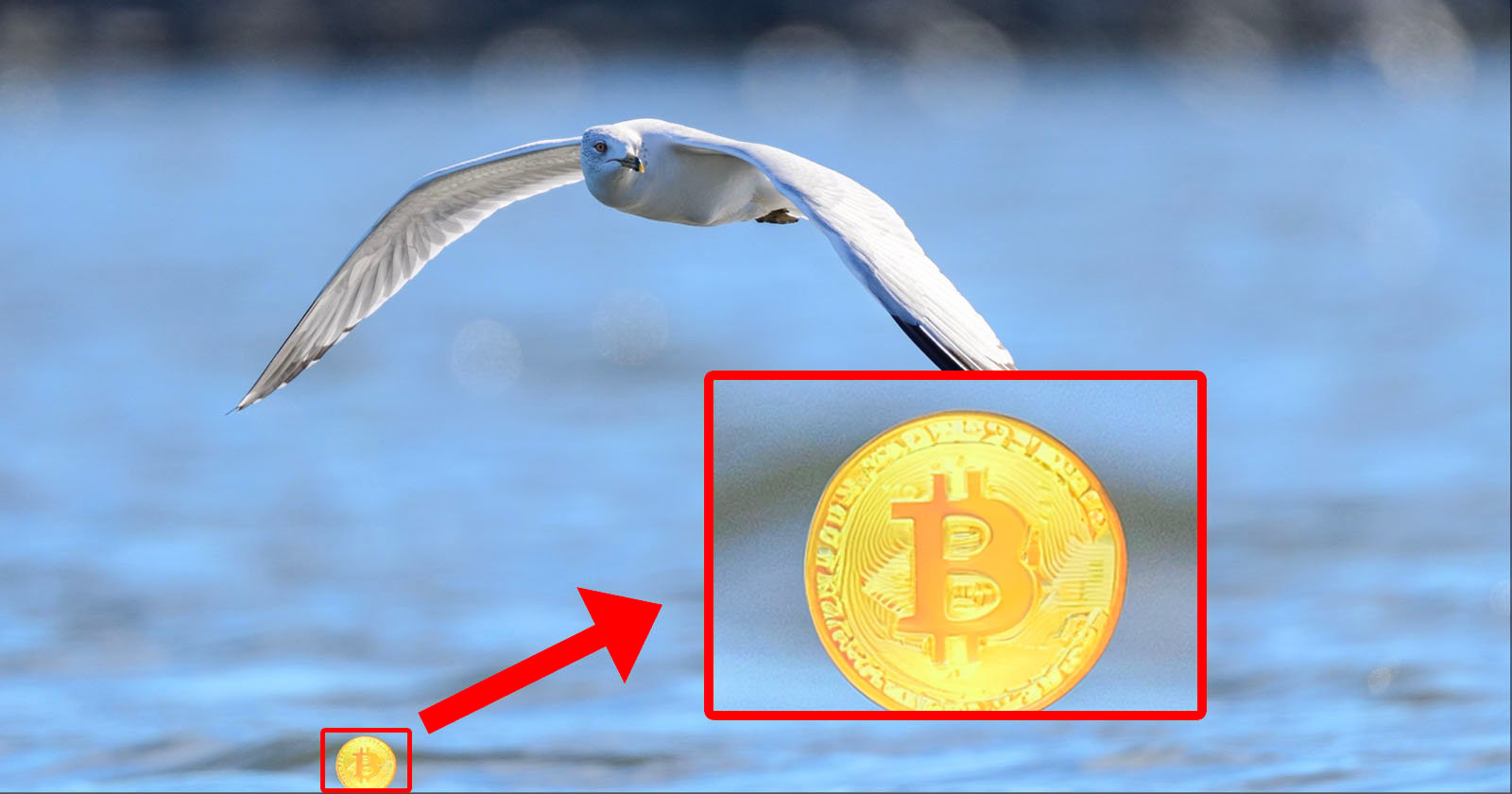 Adobe’s Generative AI Jumps The Shark, Adds Bitcoin to Bird Photo