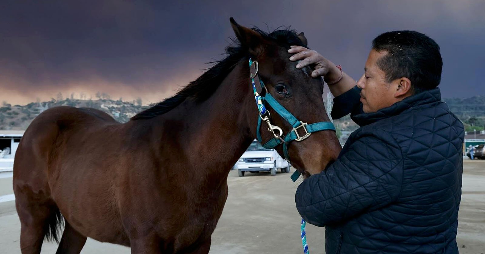 Photographer Captures Horses Being Saved From LA Wildfires