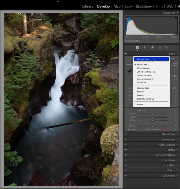 February Update Lightroom Classic, Lightroom, and Camera Raw