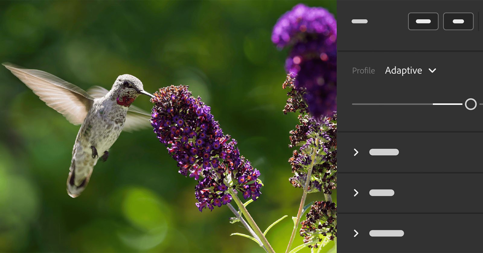 Adobe Lightroom Updates Promise Better HDR Images and More Speed