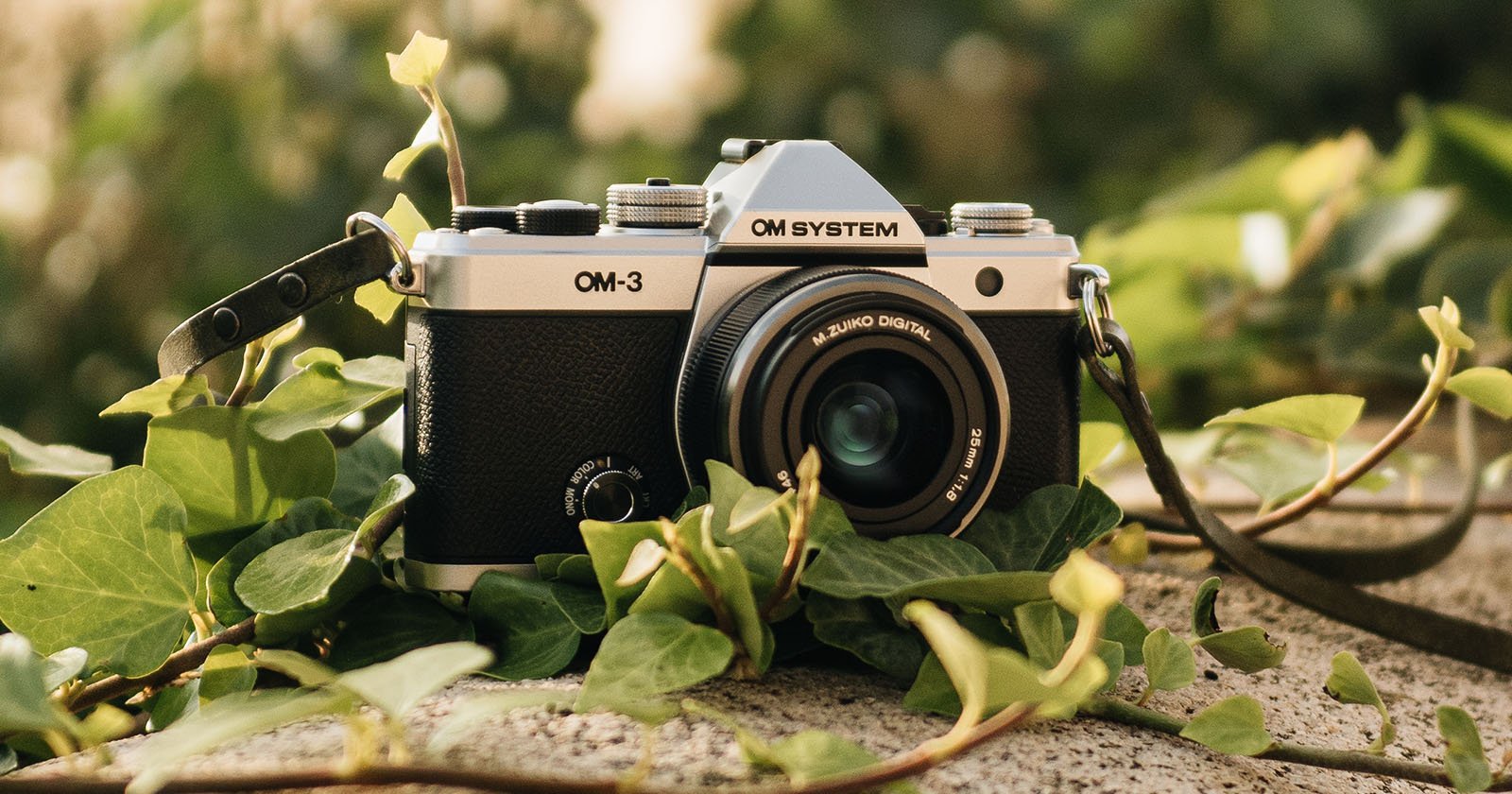 OM System OM-3 Combines PEN-F Style With OM-1 II Performance