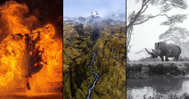 Sony World Photo Awards 2025 National and Regional Winners Show Best Photos From 56 Countries