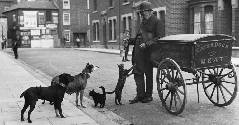 Historic Photos of the Cats’ Meat Men in Victorian London