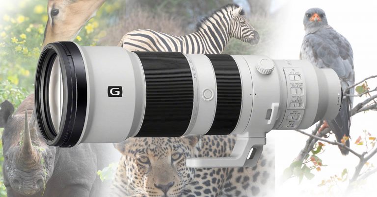 Field Testing the New Sony 400-800mm f/6.3-8 G in Namibia