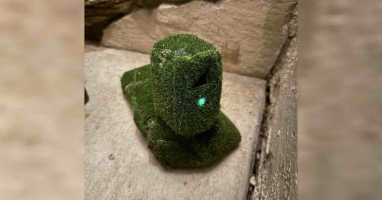 California Homeowner Finds Hidden Camera Disguised with Fake Grass in His Yard