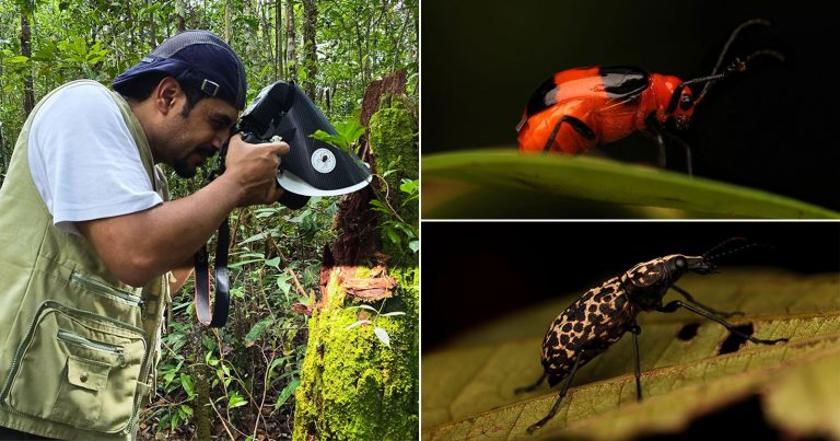 17 Days in Indonesia: A Photography Adventure in Bug-Filled Forests and Caves