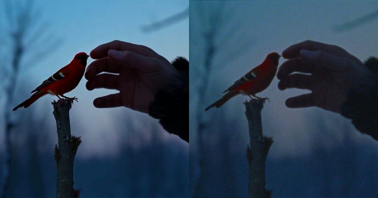 This is the First AI Video to be Transferred Onto Film