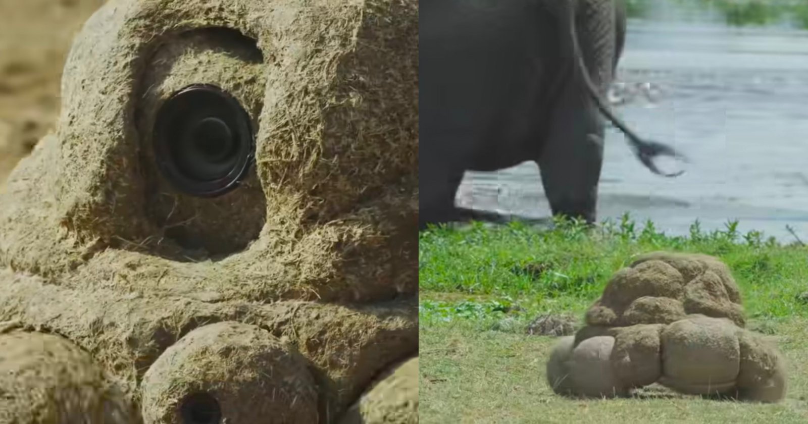 This Rolling Wildlife Spy Camera Looks Like Dung