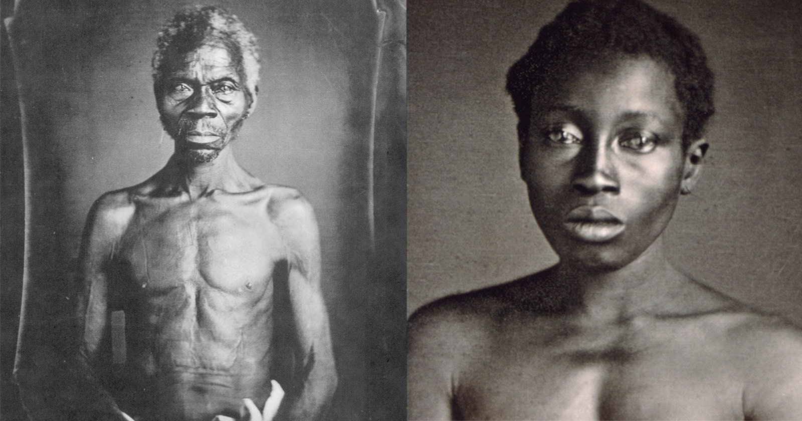 Harvard Gives Up Ownership of Slave Photos After Descendant’s Lawsuit Harvard Gives Up Ownership of Slave Photos After Descendant’s Lawsuit